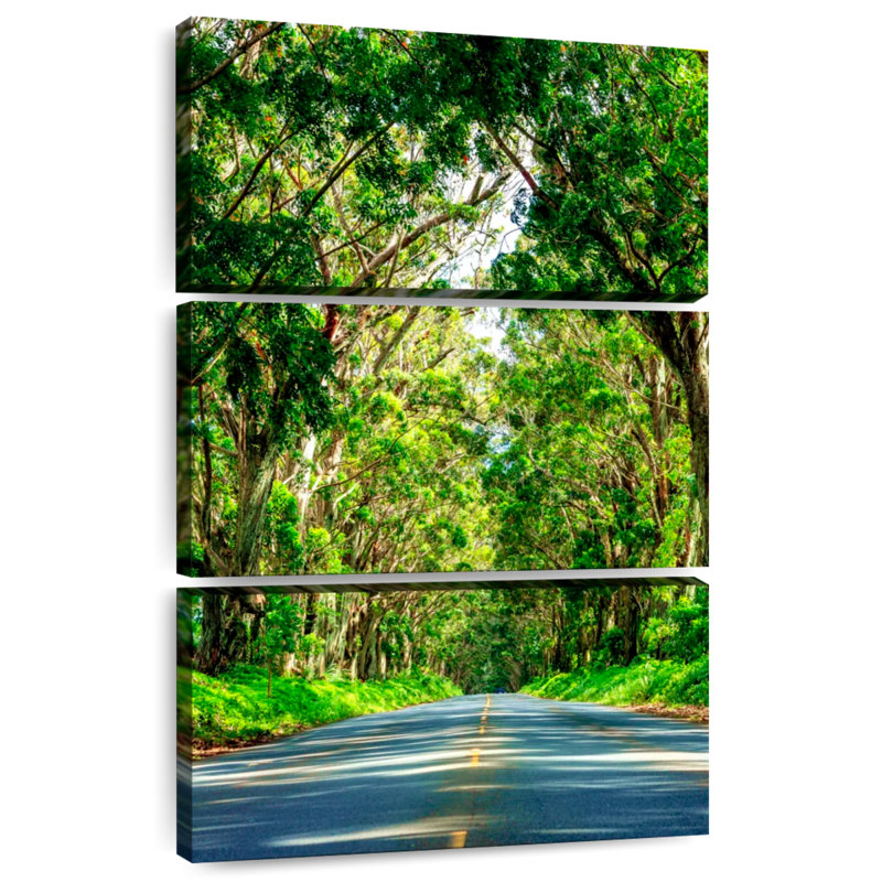 Tunnel d'arbre Mehar à Kauai, H 32 po x l 20 po