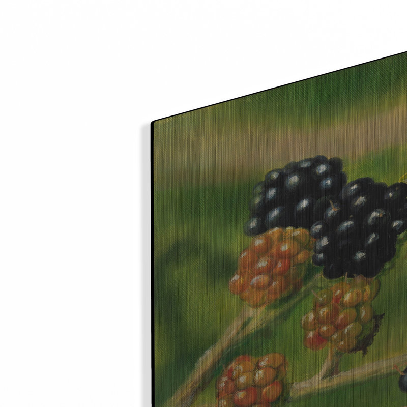 «Blackberries» par Bill Makinson, H 24 po x l 36 po