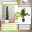 Bonsaï décoratif-402166567