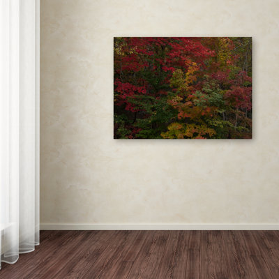 Pourquoi j'aime l'automne par Kurt Shaffer - reproduction de photo sur toile