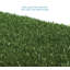 Nicolas Turf-402448414