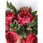 Arrangement de renoncule en pot