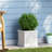 MGO PLANTER-1534819146