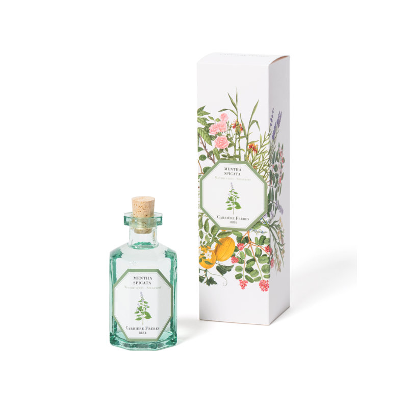 Rose Mint Diffuser, Spearmint