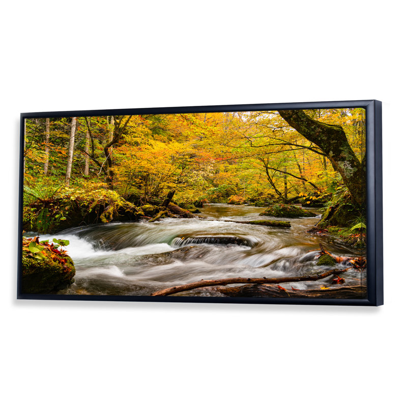 " Mountain Stream In Autumn Colours ", Black Framed, 8" H x 12" W x 1" D