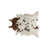 Brown/White