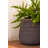 Hestia S, Umber Brown