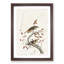 Hermit Thrush Birds by John Audubon - Picture Frame Painting Print-55580165-55580164