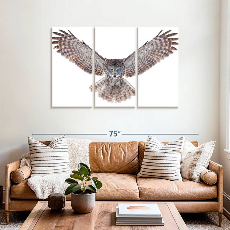Brampt Owl Power, 36" H x 57" W