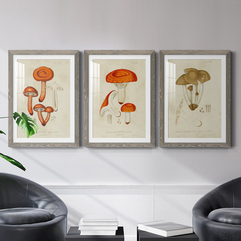 Champignon Variétés IV encadré mat - prêt à accrocher, H 20 po x l 51 po x P 1,5 po, Gris