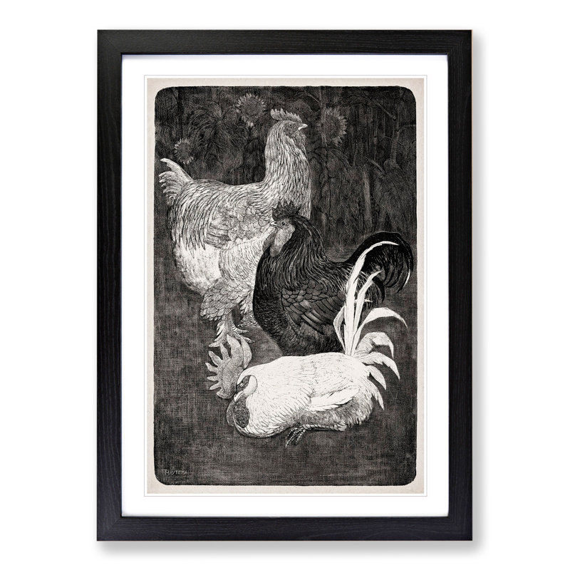 Three Roosters by Theo Van Hoytema - Picture Frame Painting, 48cm H x 36cm W x 2cm D, Black