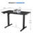 Office Set: Mesh Office Chair And Electric Standing Desk-114530667