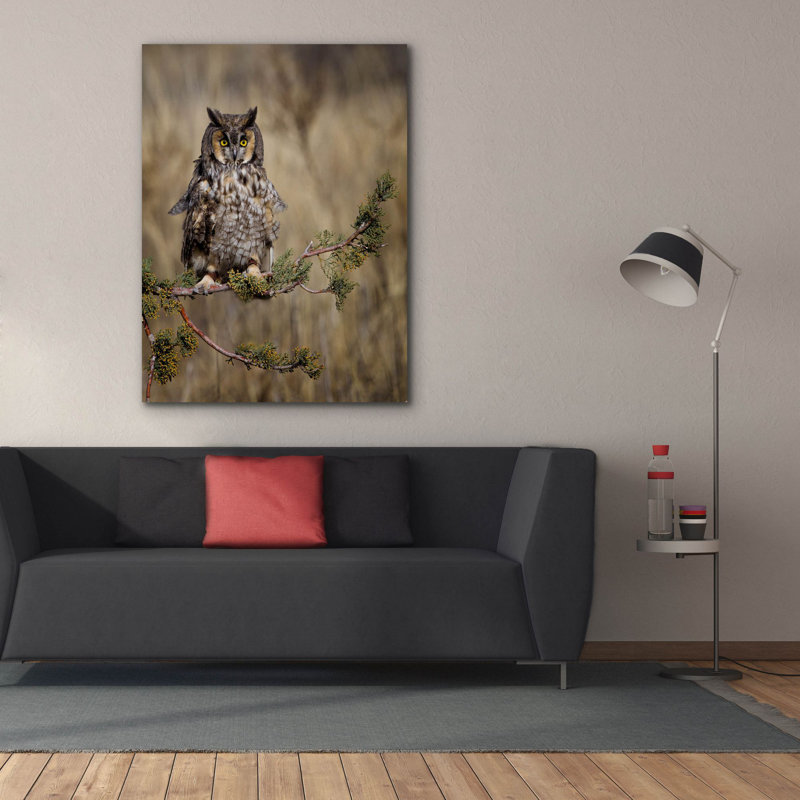 Sur toile, H 54 po x l 40 po x P 1,5 po