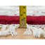 Tapis unique 9 pi 8 po x 9 pi 8 po Sarahi