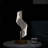 Acrylic Novelty Lamp
