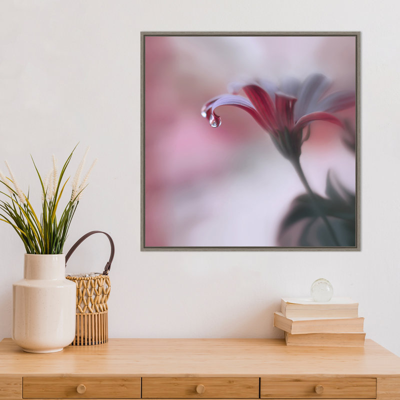 Reproduction de photo sur toile, "invisible Touch" par Juliana Nan-Floater frame