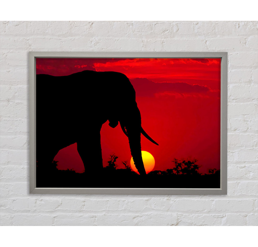 Elefant bei Sonnenuntergang - Einzelner Bilderrahmen Kunstdrucke auf Leinwand