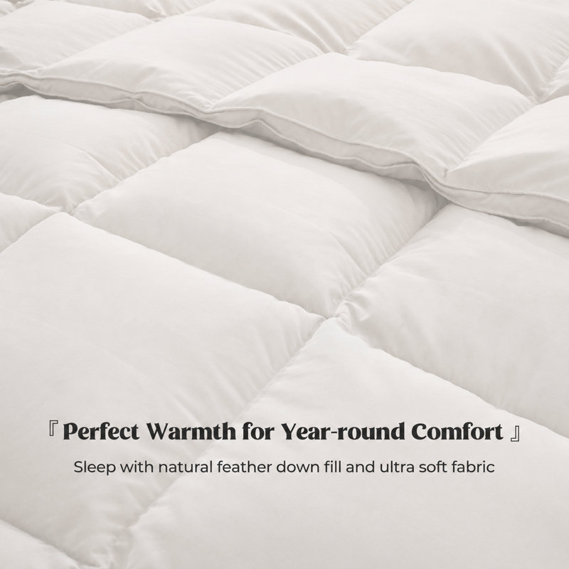 Couvre-lit en duvet et plumes Peace Nest, King