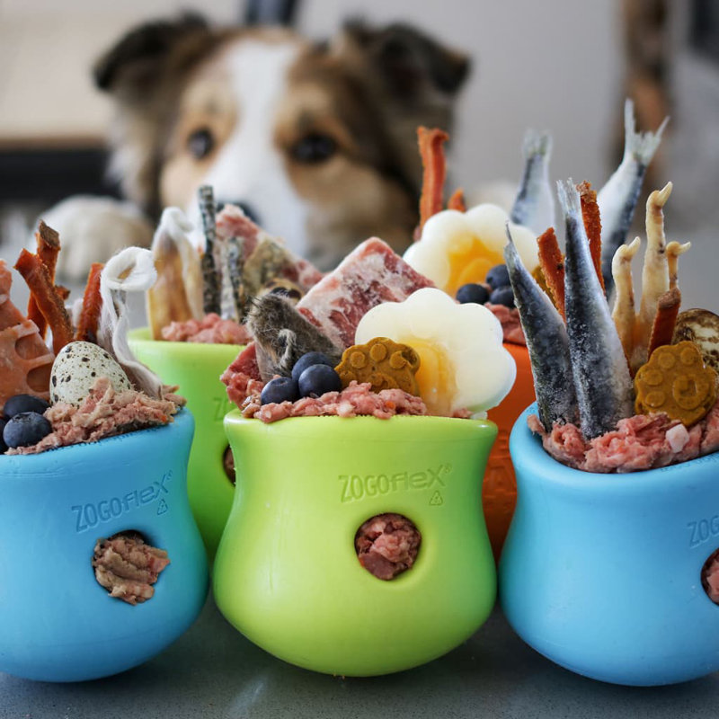 Hybrid Feeder/Toy