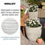 White Washed Reinforced Stone Egg Garden Round Planter, Outdoor Plant Pot-581554927