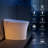 Bulit-in Tank Smart Toilet With Air Dryer, Multiple Wash Function And Night Light(Remote Included)