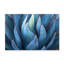 Nature Inspired Blue Agave Abstract by  - Picture Frame Graphic Art on Paper-131289665-131289666-131289667