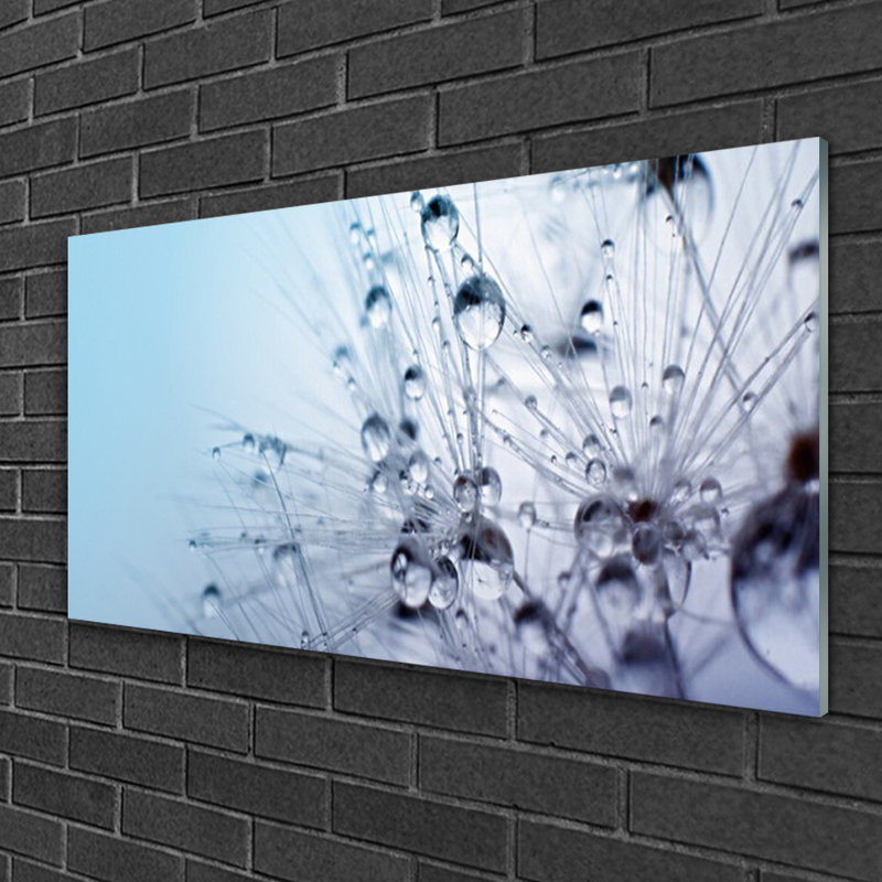Glass Print Wall Art 100X50cm Image Printed On Glass Decorative Wall Picture Behind Toughened / Tempered Safety Real Glass For Kitchen & Living Room Theme: Dandelion Floral