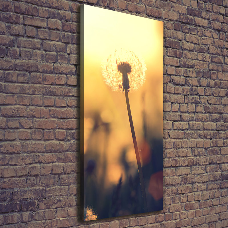 Dandelion - Wrapped Canvas Print