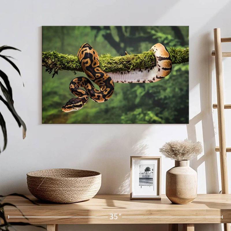 Python On Branch, 16" H x 24" W