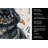 Black Pekingese Coffee Bar Kitchen Towel-1168063289