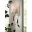 Lucien 1 - Light Armed Sconce
