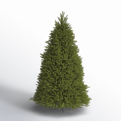 Dunhill Fir Tree with Clear Lights