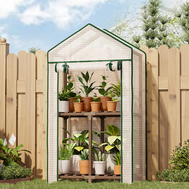 Mini serre portative à 2 niveaux, plante d'hiver recouverte de polyéthylène avec structure en eucalyptus robuste pour les jardins et les cours intérieurs / extérieurs