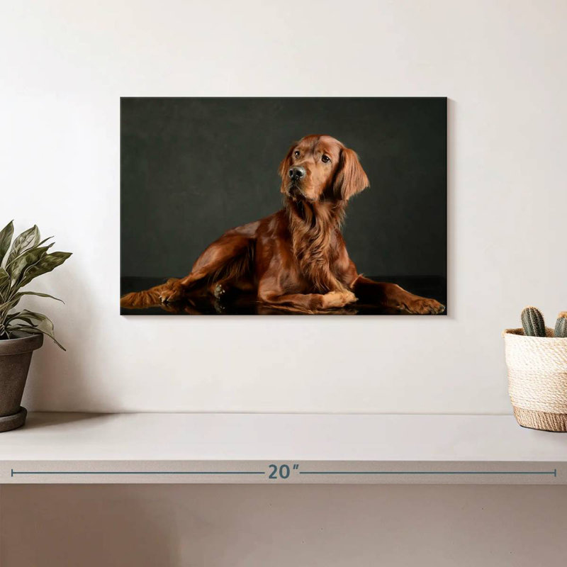 Loyal Irish Setter, 8" H x 12" W