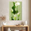 Harnek lys Calla blanc-108414961