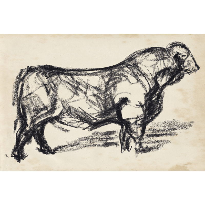 Black Angus I by Jennifer Paxton Parker - Drawing, Wrapped Canvas, 30 cm H x 46 cm W
