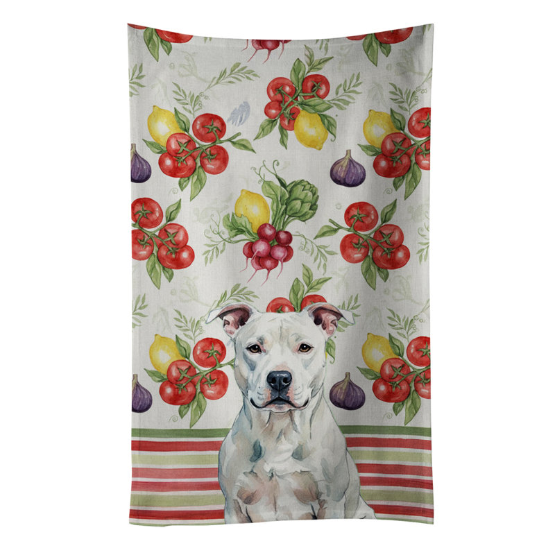 Torchon blanc blanc Staffordshire Terrier, White American Staffordshire Terrier