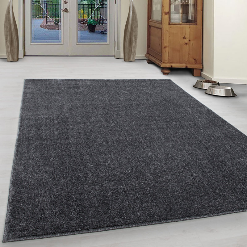 Baer Solid Colour Shag Area Rug, Rectangle 200 x 290cm