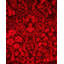 Tapis rouge noué à la main Weirsky - One-of-a-Kind Weirsky