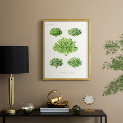 Fruit & Vegetable Varieties VII Framed Print - Solid Wood