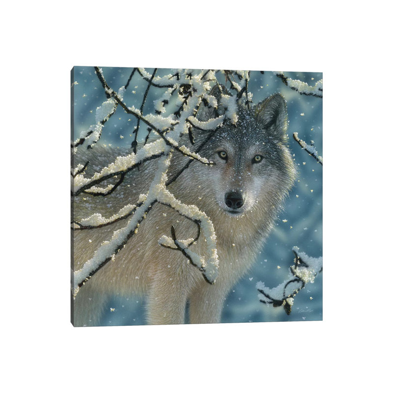 « Broken silence Gray Wolf », carré par Collin-gris-impression d’art graphique, H 18 po x l 18 po x 1,5 po, Pas de tapis