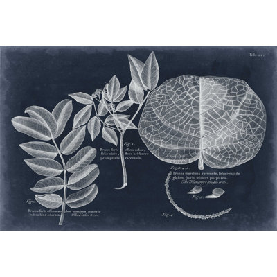 Foliage On Navy I by Vision Studio - Wrapped Canvas Graphic Art