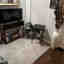 Customer photo 5 of 8