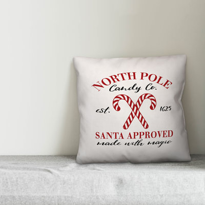 Throw Pillow