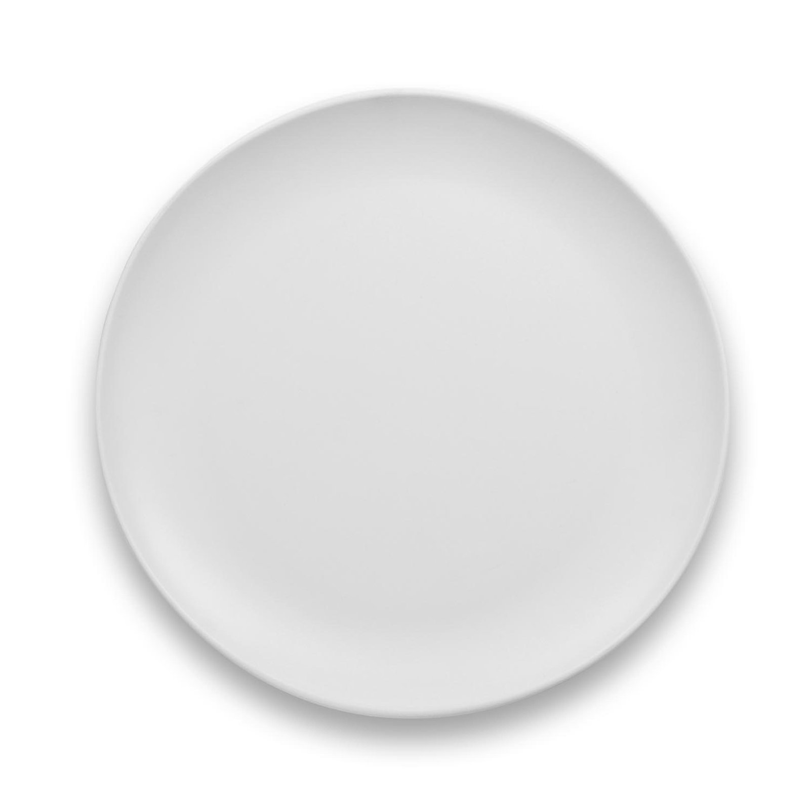 Laya 11" Dinner Plate