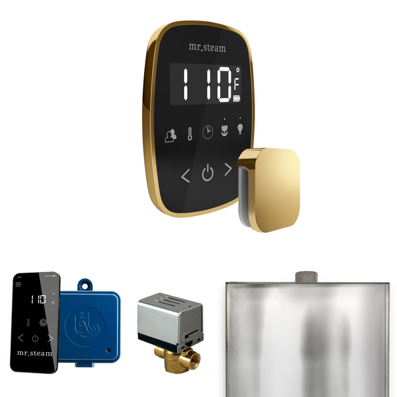 Ensemble de commande de douche à vapeur ButlerFlex avec contrôle TempoFlex et tête de vapeur, Laiton poli