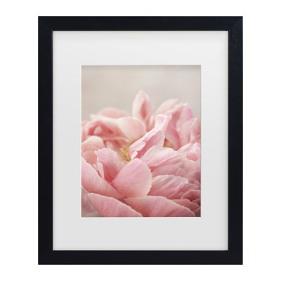 Art encadré avec pivoine maré 4 Bohmer