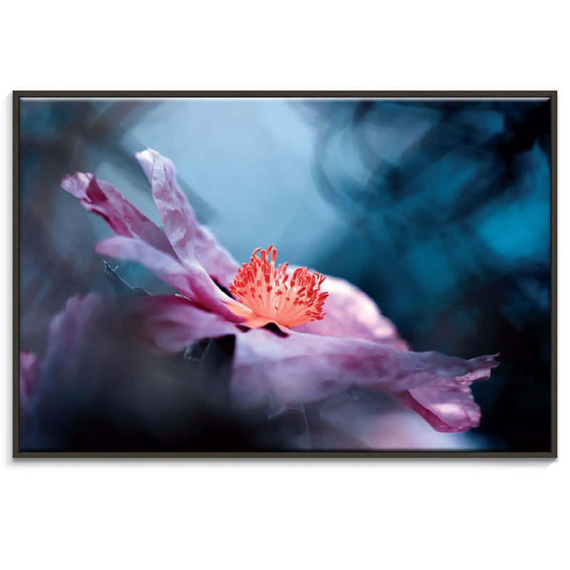 Print on Canvas, 51cm H x 76cm W, Black Floater Frame