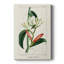 Turpin Tropical Botanicals-983851686