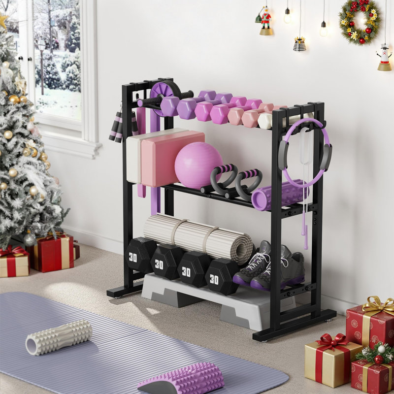 3 Tier Adjustable Dumbbell Rack, Weight Rack with Extended Base & Movable Hooks, 450 lb Capacity